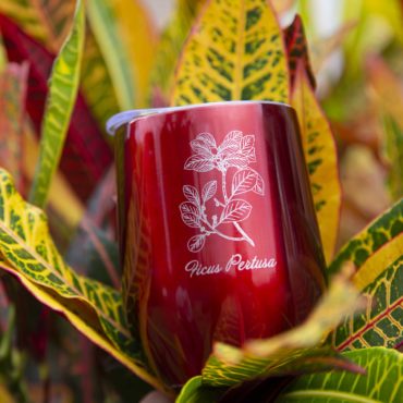 Mug rouge ficus