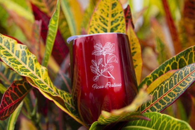 Mug rouge ficus